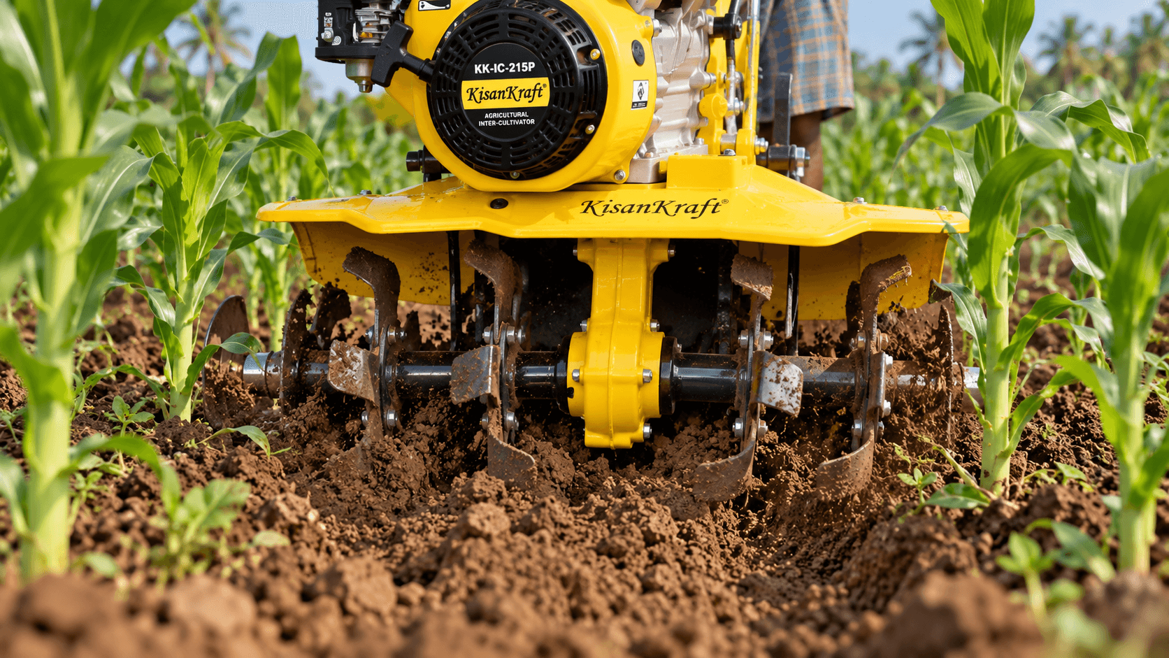 Controlled Movement Around Established Crops