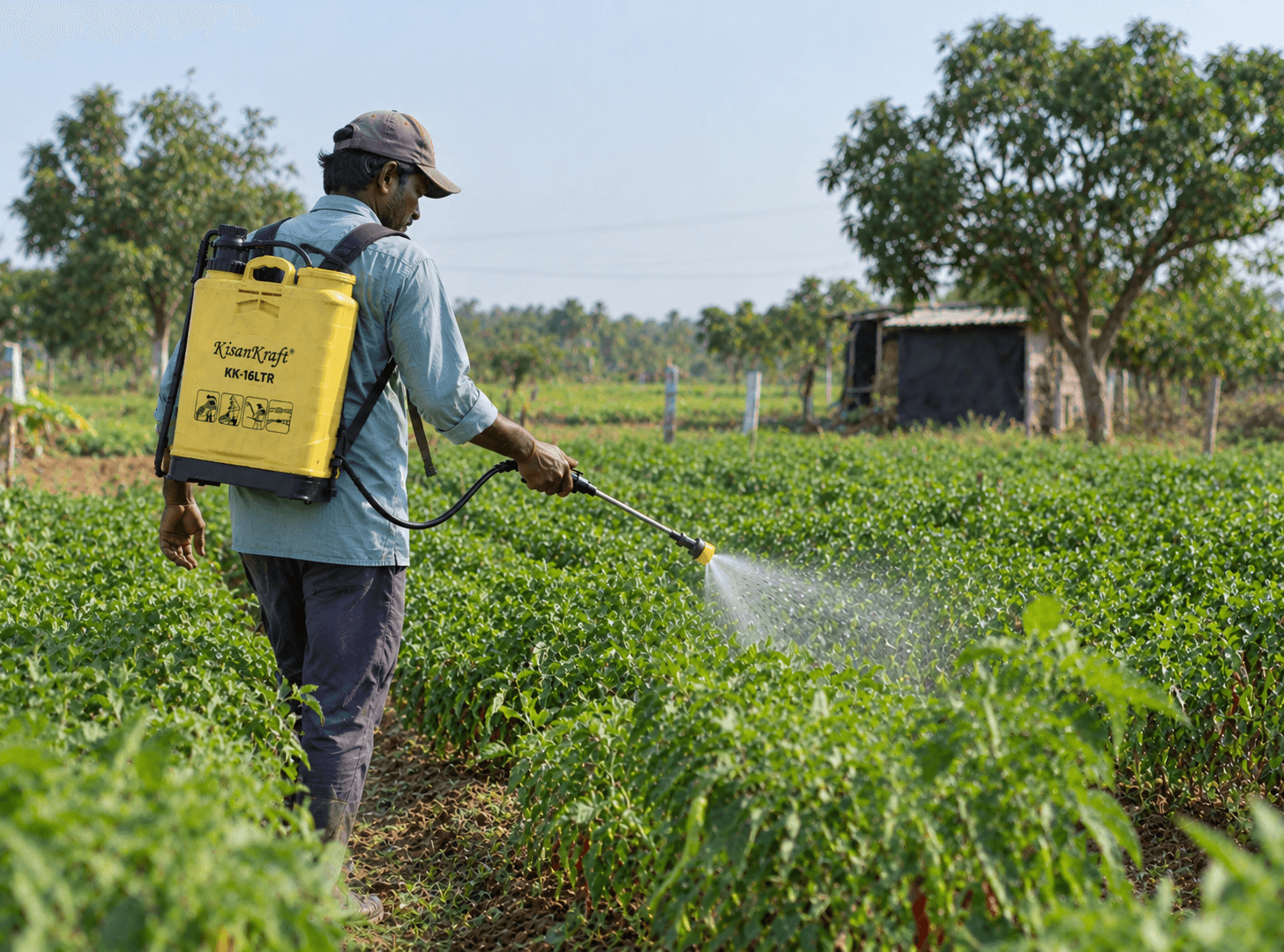 Crop & Pesticide Spraying
